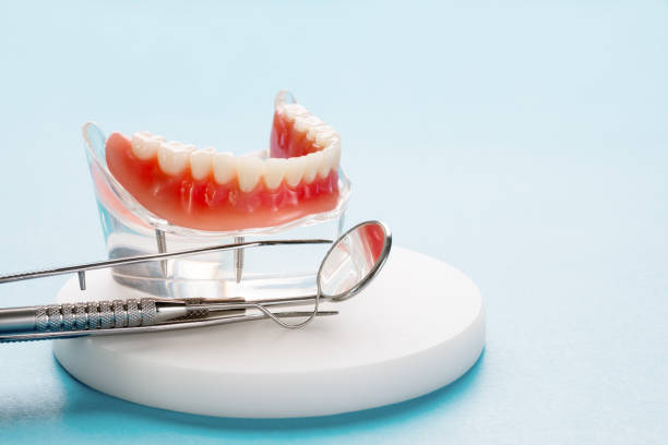 Best Full Mouth Reconstruction  in Navasota, TX